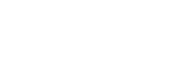 C.R.E.A.M